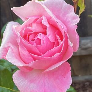 Meet your Posher, Valerie